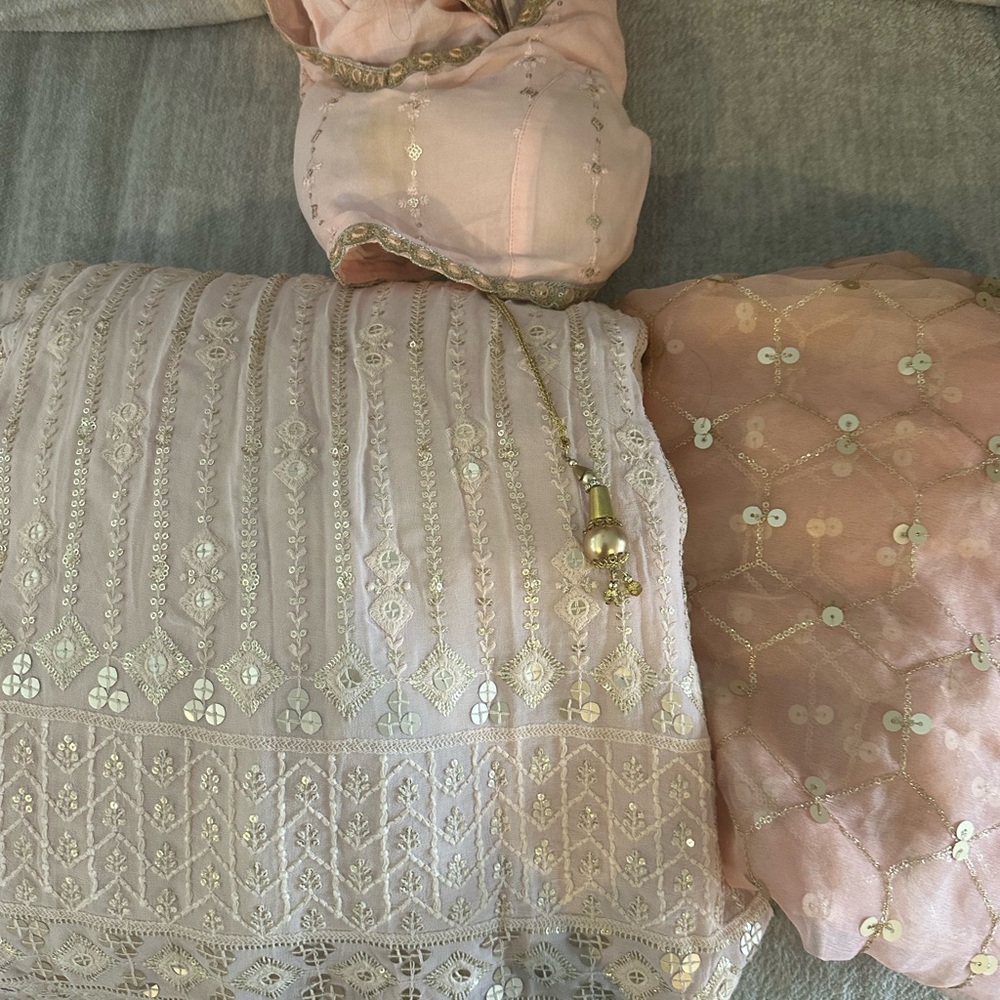 Blush pink lucknowi Embroidered lehenga Set